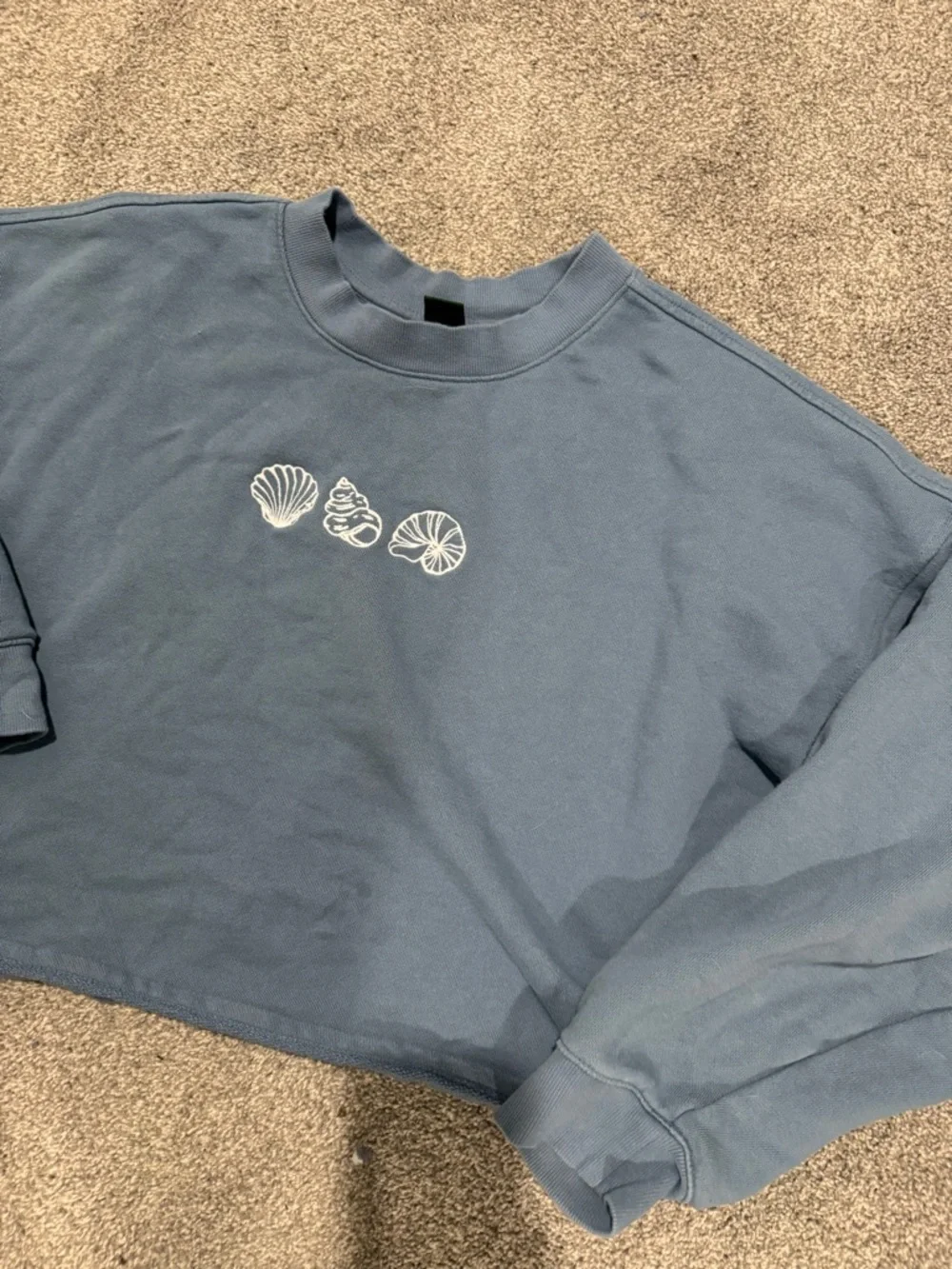 wild fable Blue Cropped Seashell Coastal Sweatshirt | L - Picture 2 of 4